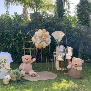 Baby Shower One